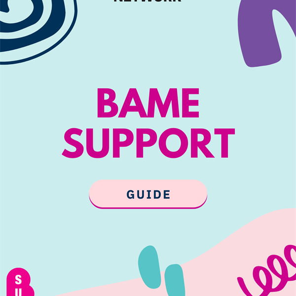 Poster promoting the BAME Students' Network with the text "BAME SUPPORT GUIDE" in large pink letters on a light blue background with abstract designs and the Birkbeck Students' Union logo and motto "H