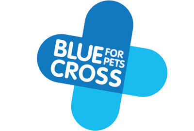 Blue cross